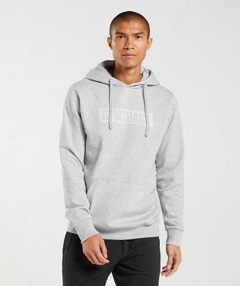 Sudadera Con Capucha Gymshark Block Hombre Gris Claro | CO 3624VRW